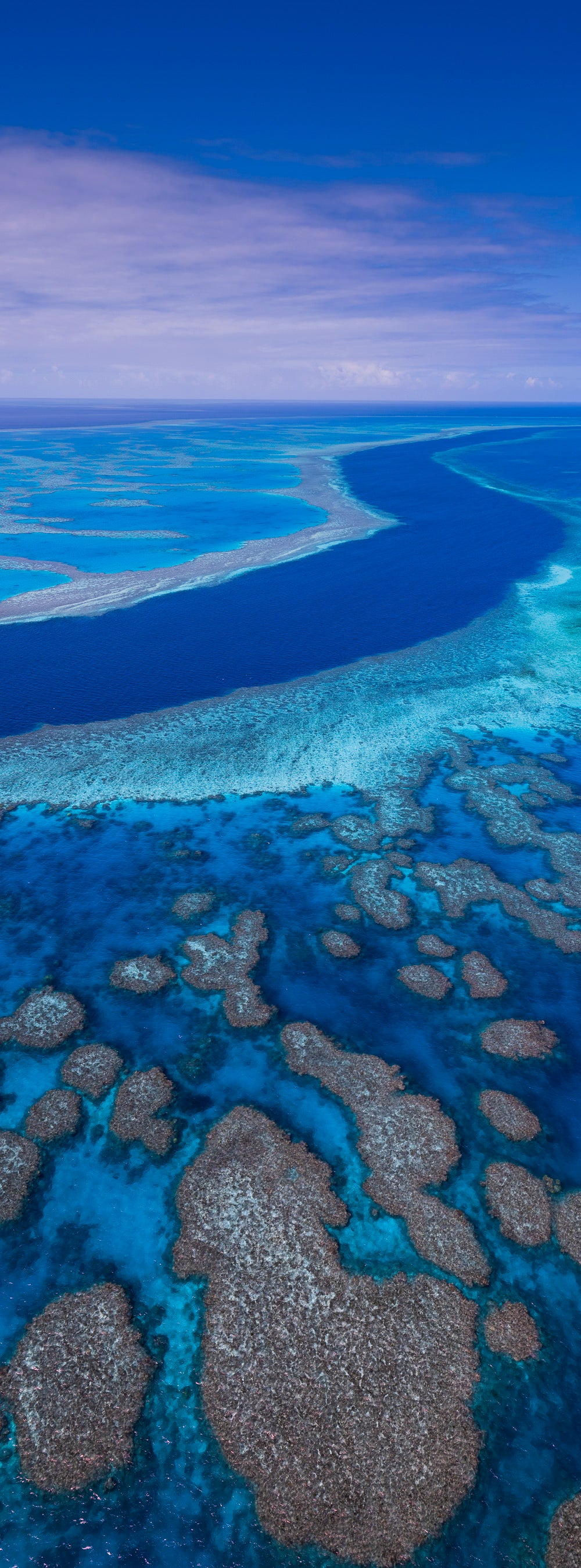 Blue Infinity, Great Barrier Reef, QLD, photographed by Mitchell Burns