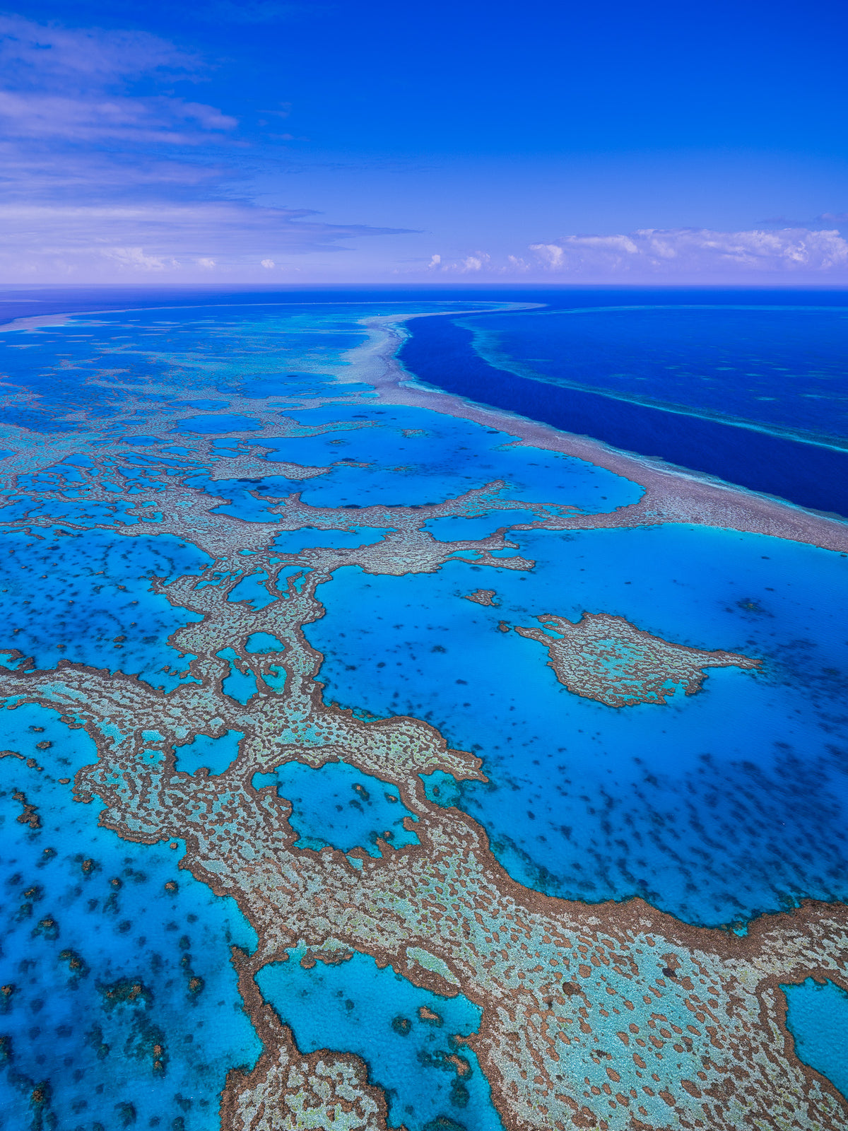 Blue, Great Barrier Reef, QLD, photographed by Mitchell Burns