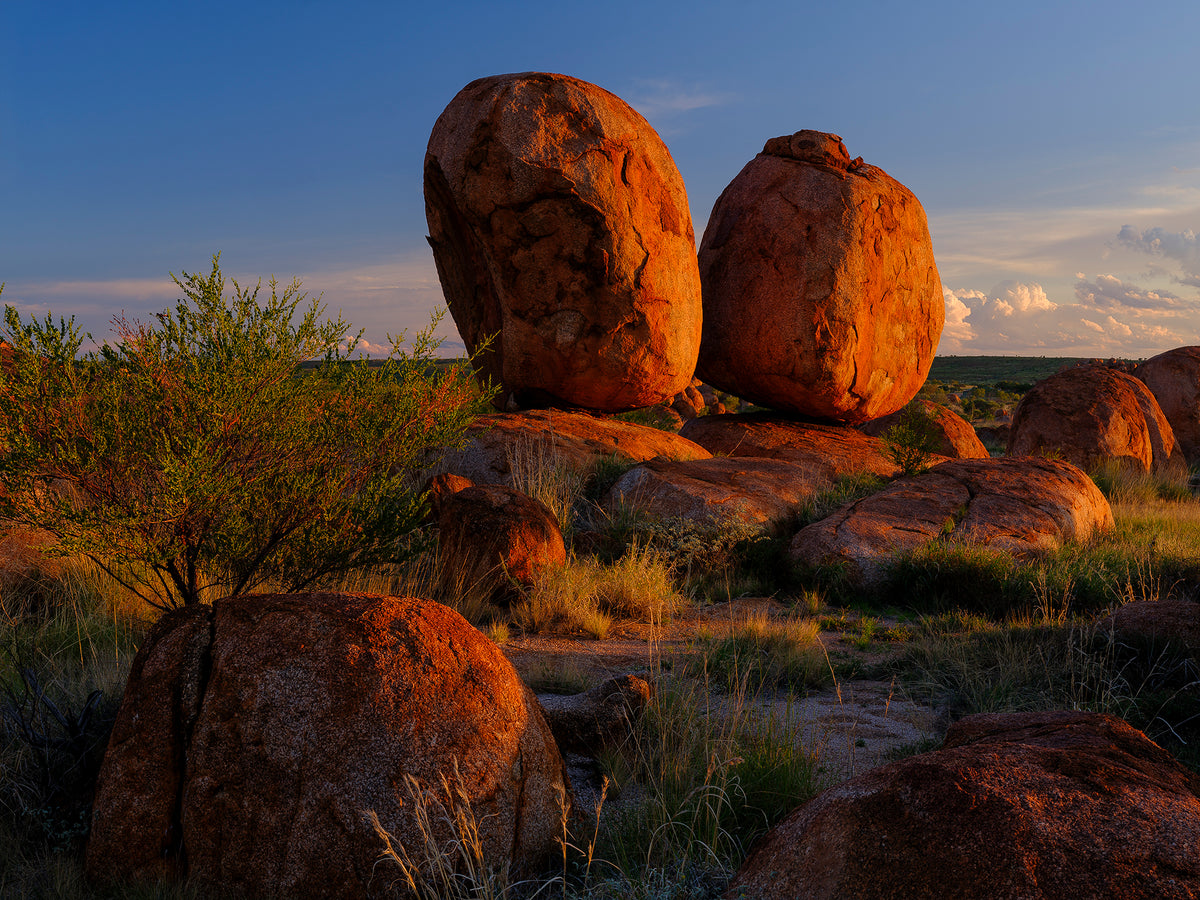 Harmony, Central Australia, photographed by Mitchell Burns