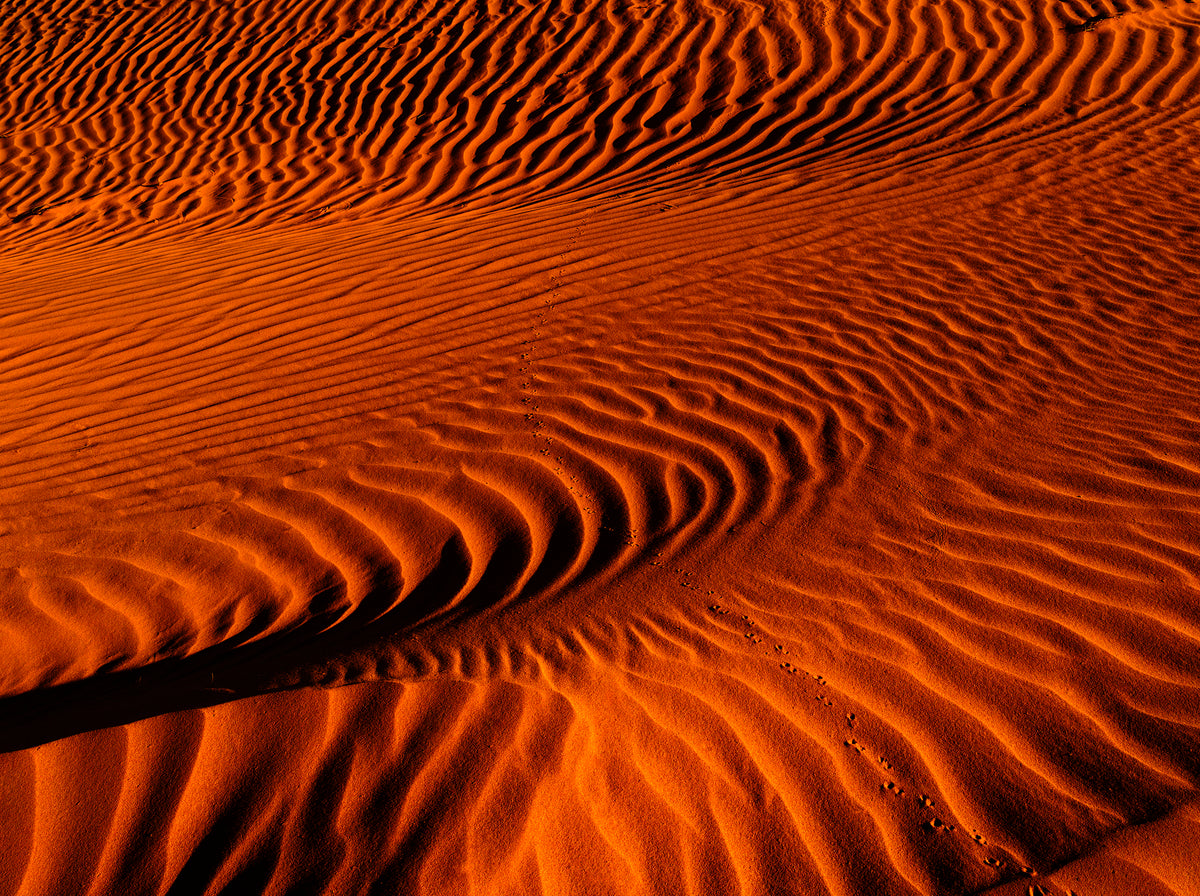 Ripple, Big Red, Birdsville, QLD, photographed by Mitchell Burns