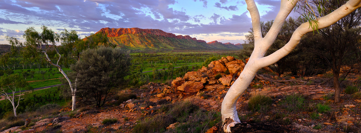 Country Calling, Alice Springs, NT, photographed by Mitchell Burns