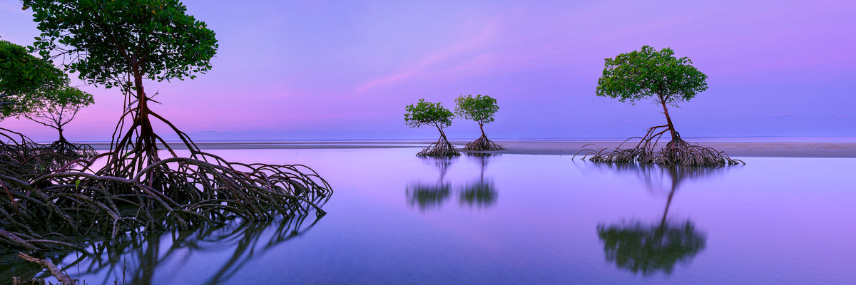 Silent Shores, Yule Point, Port Douglas, QLD, photographed by Mitchell Burns