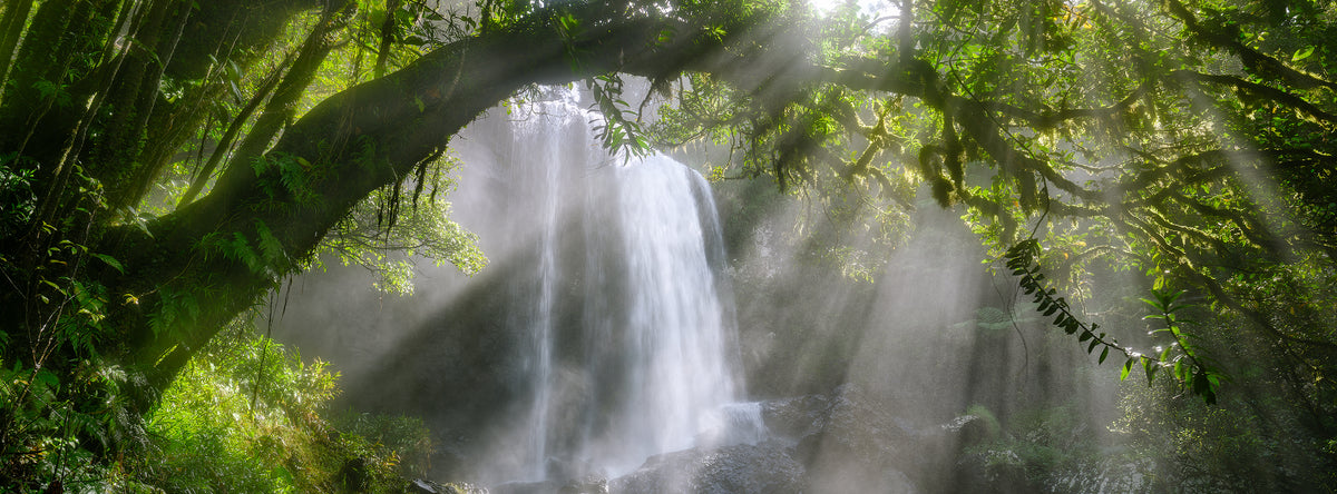 Essence Of Life, Zillie Falls, Atherton Tablelands, QLD, photographed by Mitchell Burns