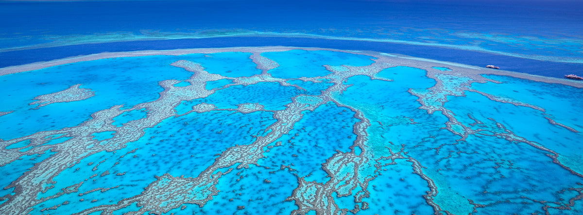 Reef Patterns, an aerial photograph of the Great Barrier Reef by Mitchell Burns.