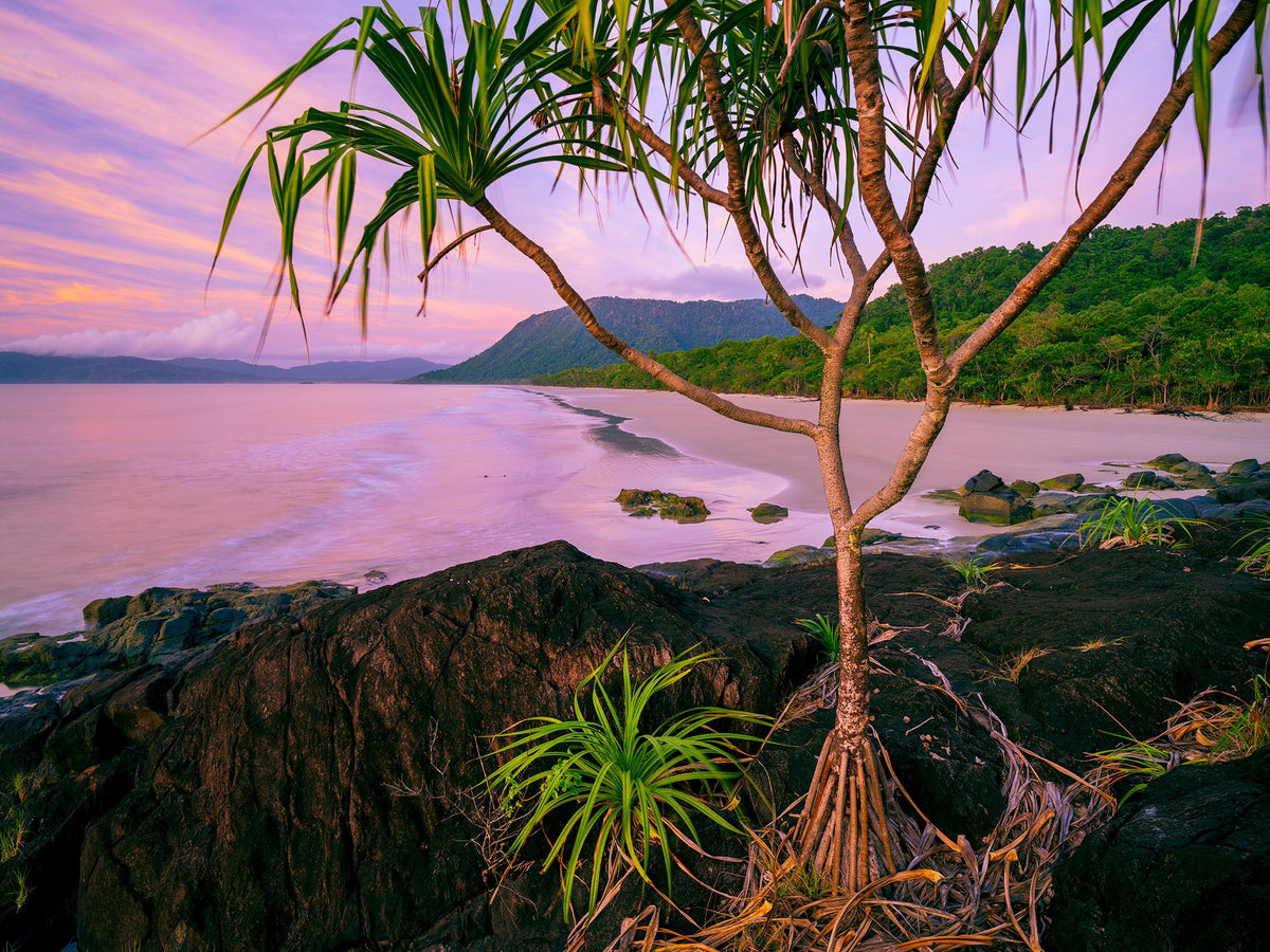 Noah Beach on the Daintree coast at dawn, photographed by Mitchell Burns.
