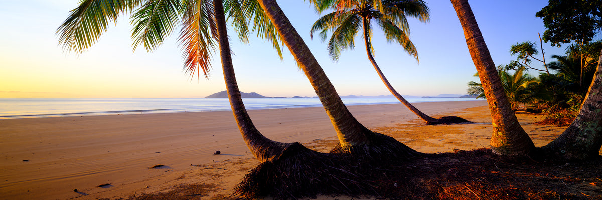 Tropica, Tropical North Queensland, QLD, photographed by Mitchell Burns