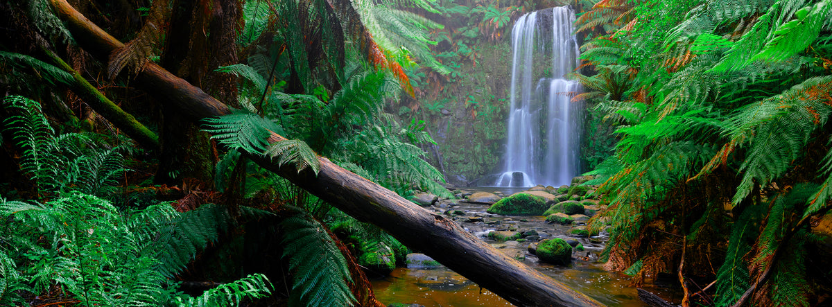 Beauchamp Falls, Beauchamp Falls, Otway National Park, VIC, photographed by Mitchell Burns