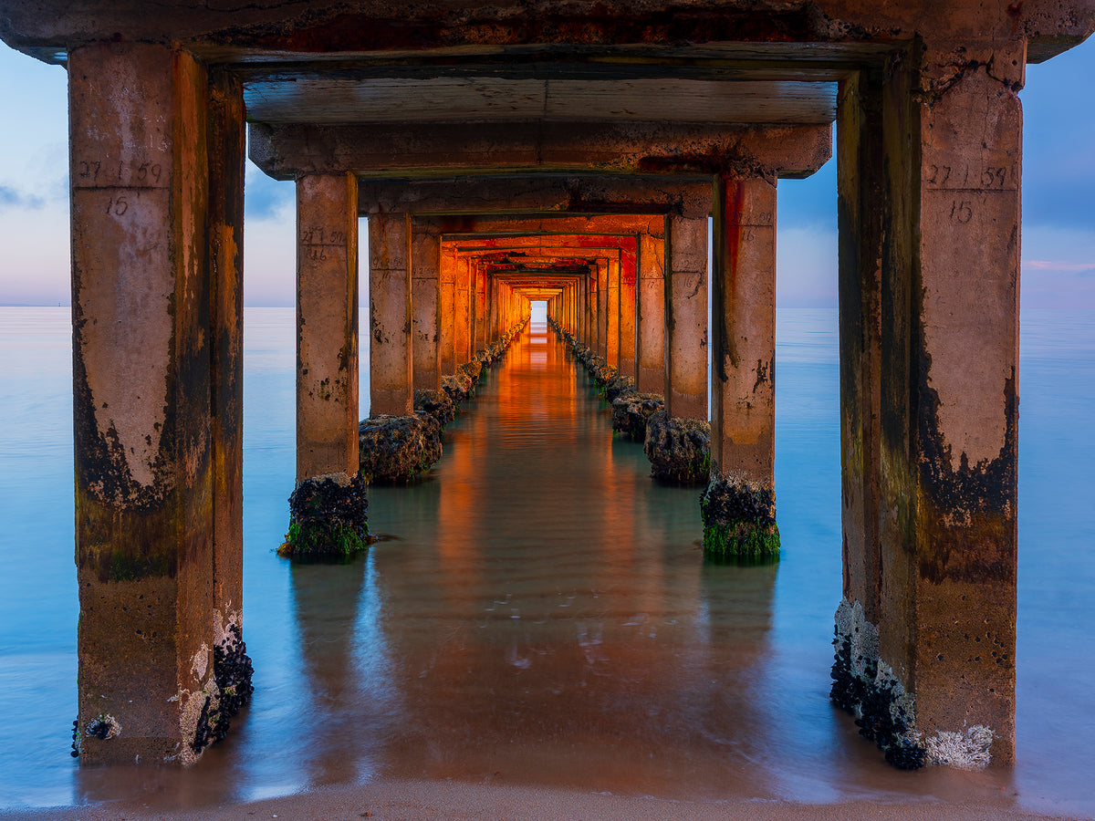 Tunnel Vision, Mornington Peninsula, VIC, photographed by Mitchell Burns
