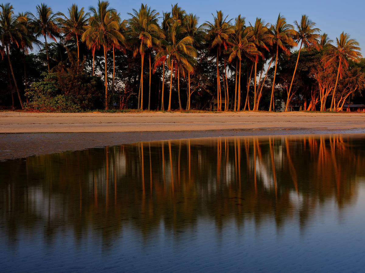 Palms, Port Douglas, QLD, photographed by Mitchell Burns