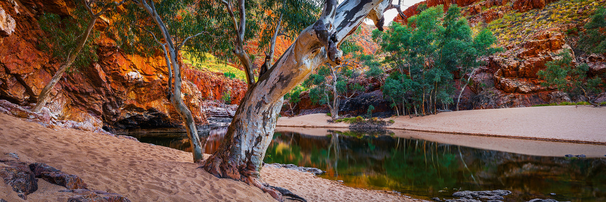 Tranquility Gorge — fine art photograph by Mitchell Burns