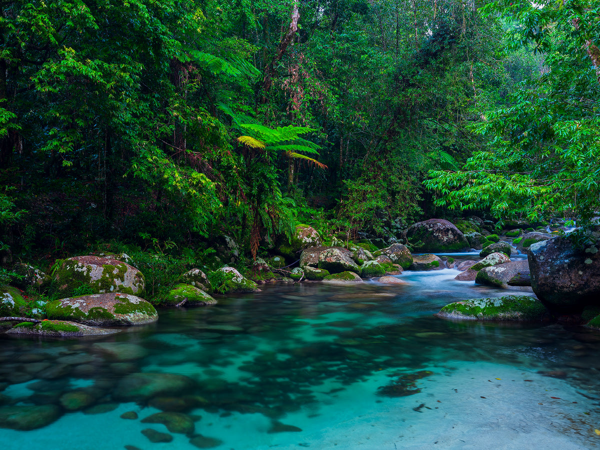 Hidden, North Queensland, QLD, photographed by Mitchell Burns