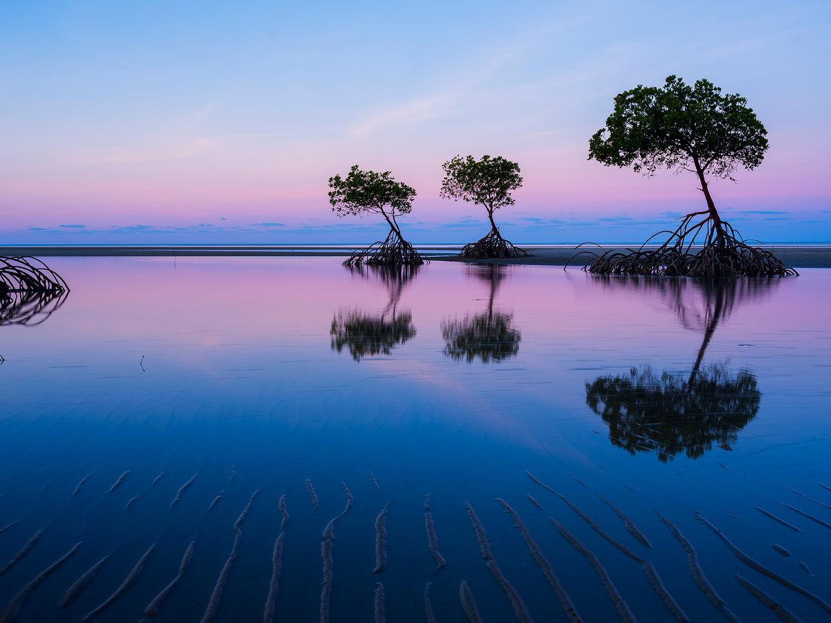 Fading, Yule Point, Port Douglas, QLD, photographed by Mitchell Burns