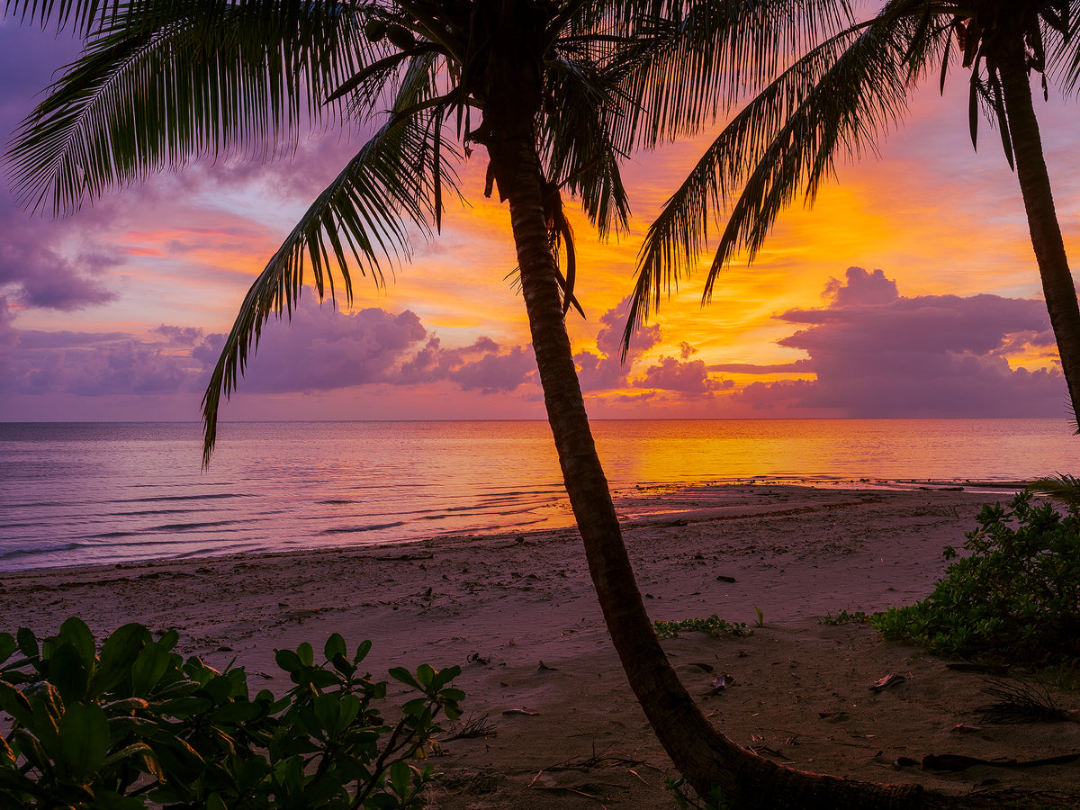 Blush — fine art photograph by Mitchell Burns