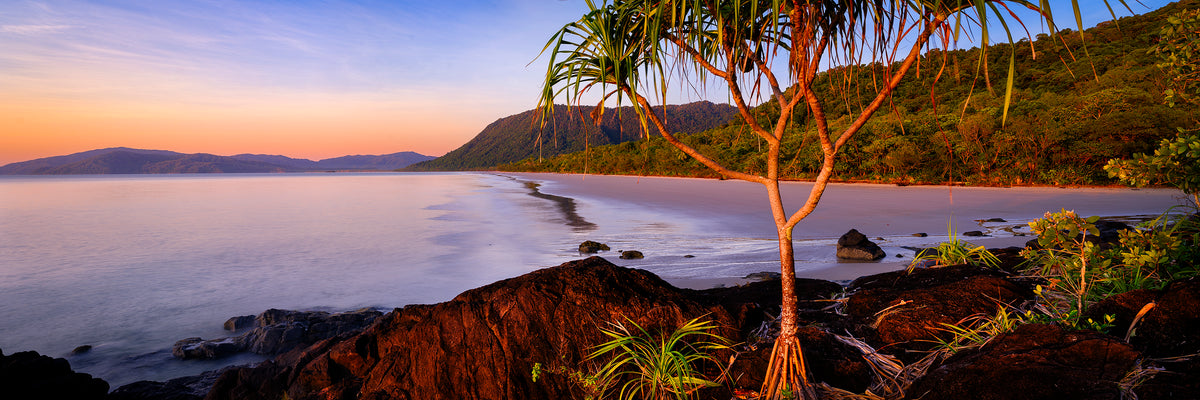 Daintree, Daintree Coast, QLD, photographed by Mitchell Burns