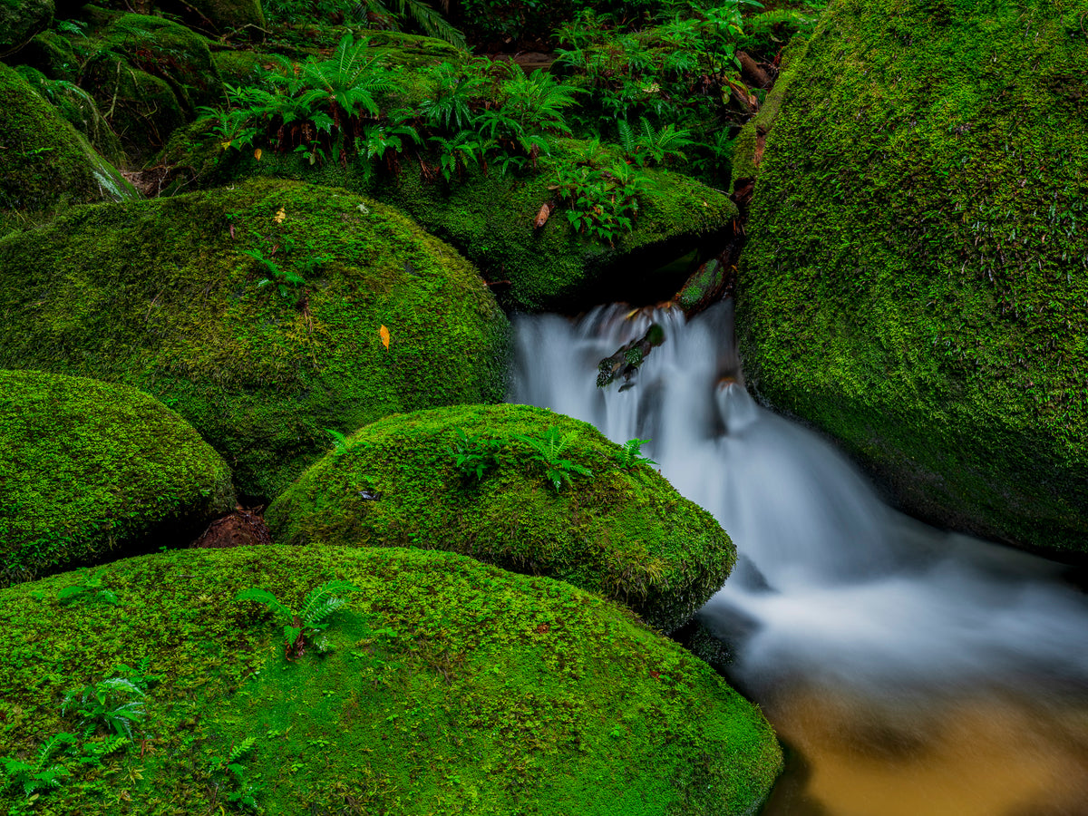 Pure, North Queensland, QLD, photographed by Mitchell Burns