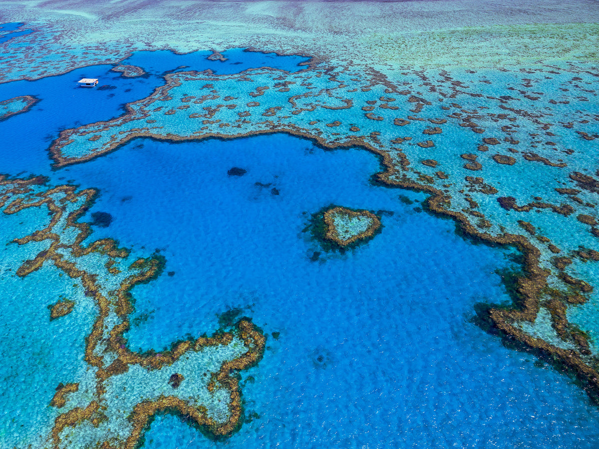 One Love, Heart Reef, Great Barrier Reef, QLD, photographed by Mitchell Burns