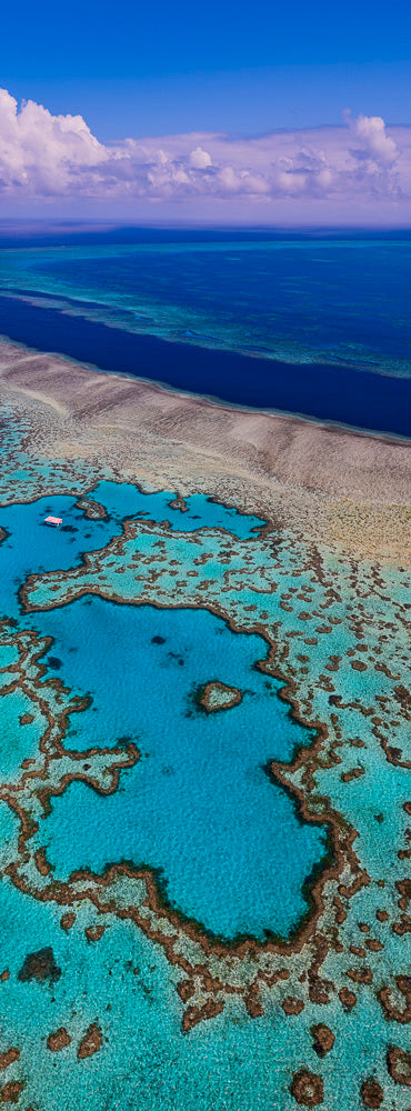 Love, Heart Reef, Great Barrier Reef, QLD, photographed by Mitchell Burns