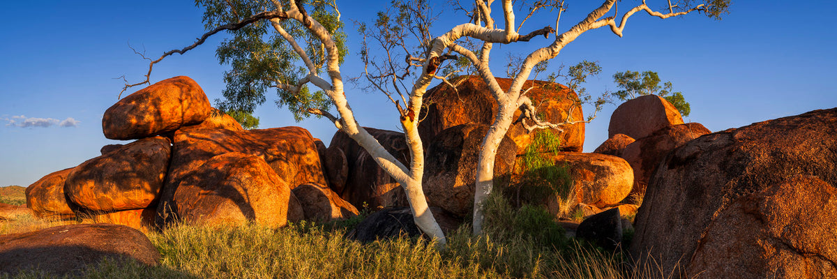 Outback Embrace, Northern Territory, photographed by Mitchell Burns