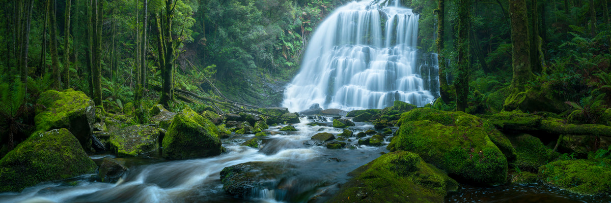 Serenity, Nelson Falls, TAS, photographed by Mitchell Burns