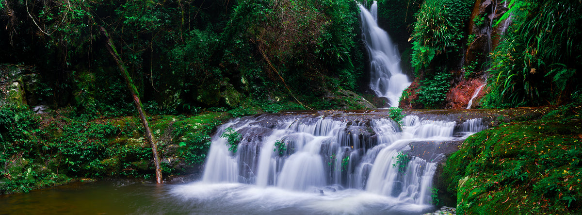 Silk, Lamington National Park, QLD, photographed by Mitchell Burns