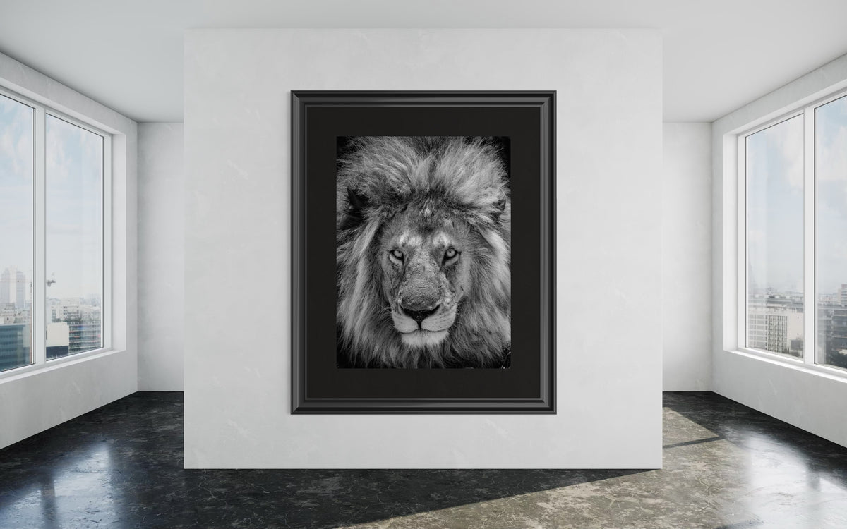 Apex B&W — fine art photograph by Mitchell Burns