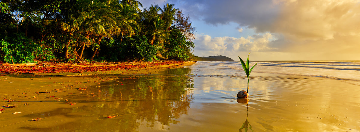 Sun-kissed, Four Mile Beach, Port Douglas, QLD, photographed by Mitchell Burns