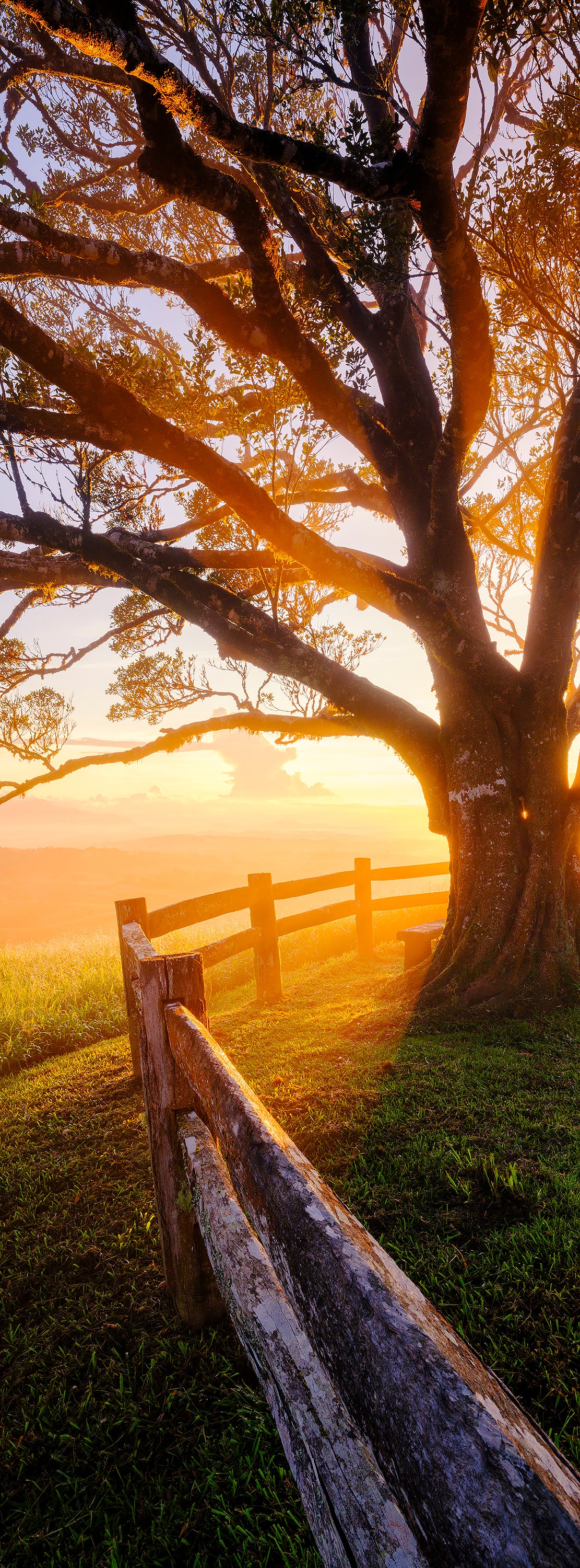 Warmth, Atherton Tablelands, QLD, photographed by Mitchell Burns