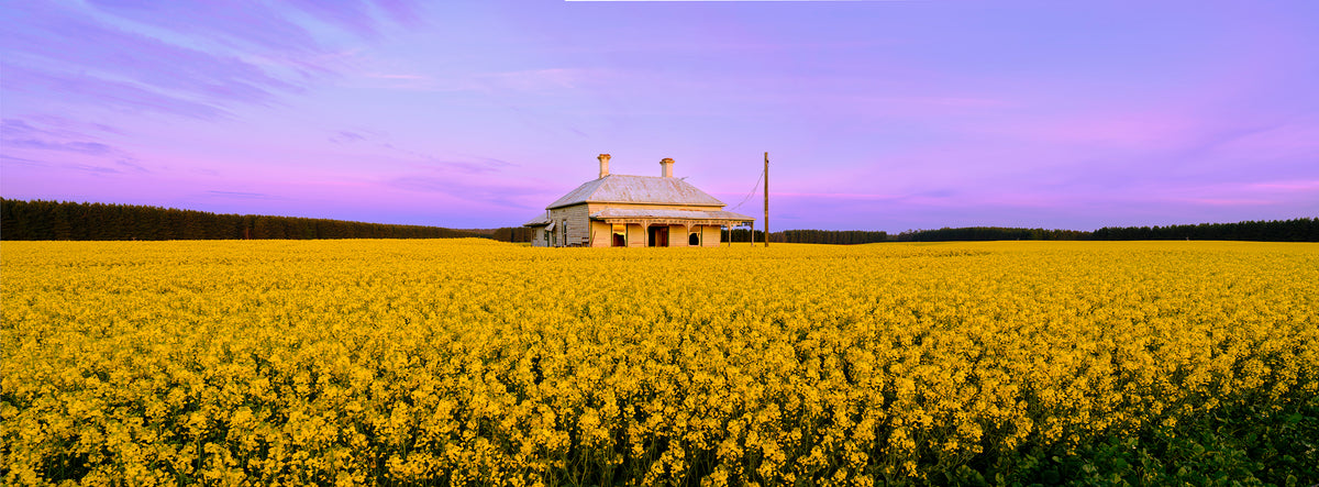 Golden Years, Country Victoria, VIC, photographed by Mitchell Burns
