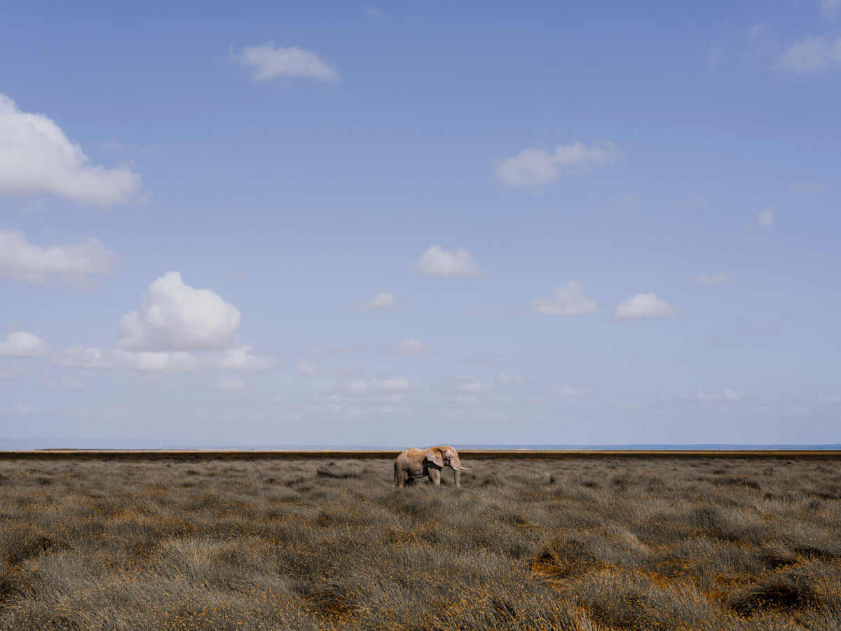 The Long Horizon