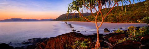 Daintree — Daintree, QLD, photographed by Mitchell Burns — illustrative Black + Black corner detail