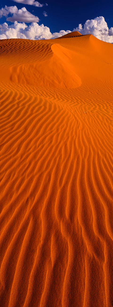 Dune — Simpson Desert, QLD, photographed by Mitchell Burns — illustrative Black + Black corner detail