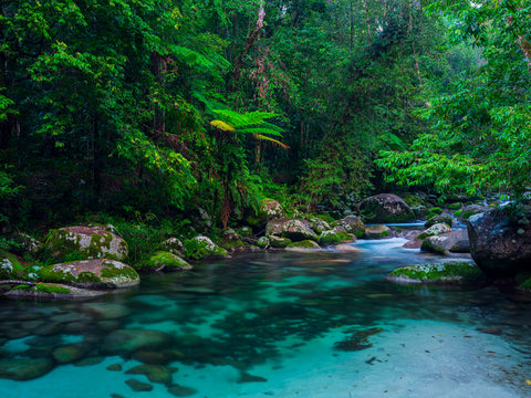 Hidden — North Queensland, QLD, photographed by Mitchell Burns — illustrative Black + Black corner detail