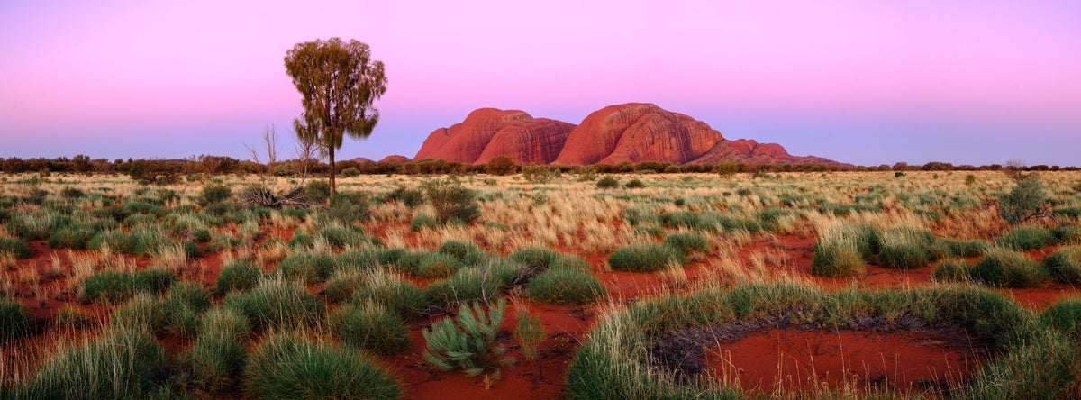Kata Tjuta Dusk