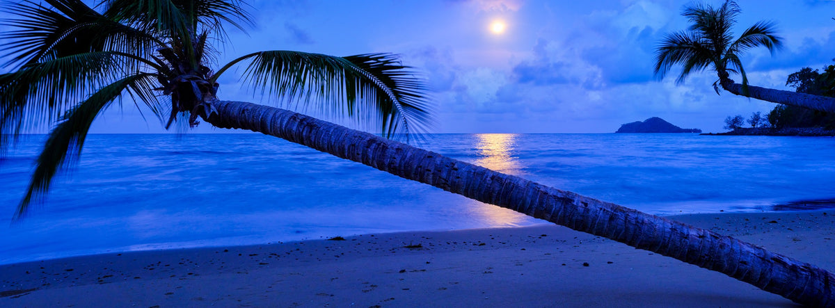 Moonshadow — a tropical beach in vivid blue twilight, moonlight over the sea, leaning coconut palms and a distant island. Panoramic photograph by Mitchell Burns.