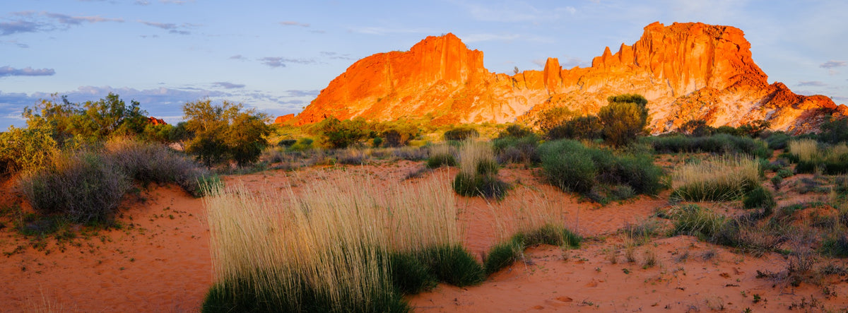 Red Escarpment by Mitchell Burns — panoramic sandstone cliffs and desert grasses at Rainbow Valley, Northern Territory, Australia