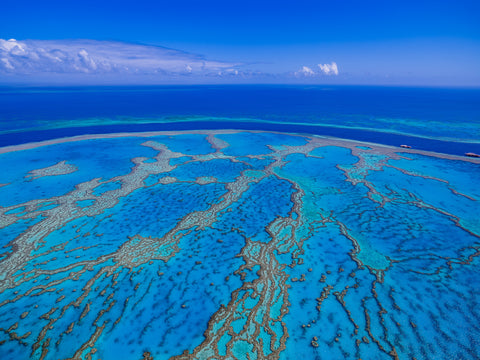 Reef — Great Barrier Reef, QLD, photographed by Mitchell Burns — illustrative Black + Black corner detail
