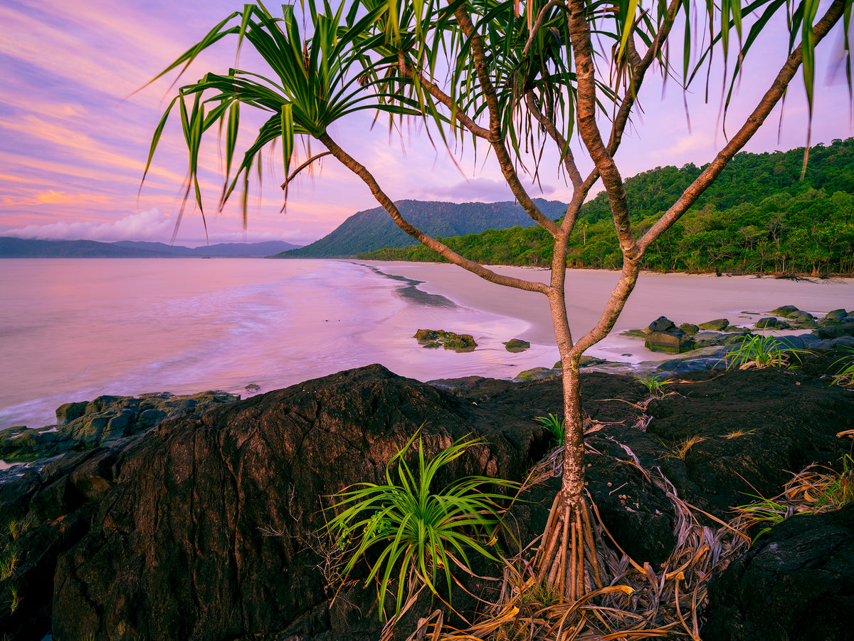 Noah Beach, Noah Beach, Daintree, QLD, photographed by Mitchell Burns