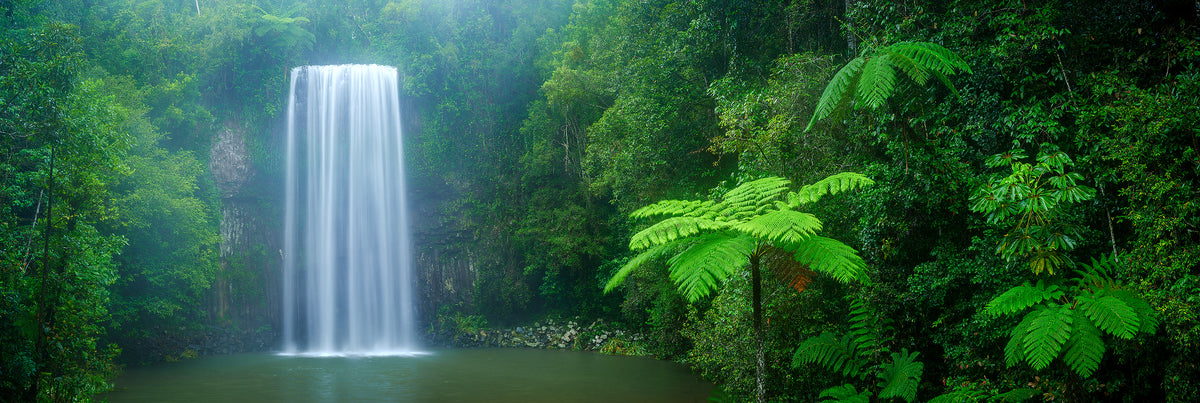 Millaa Millaa Falls, Millaa Millaa Falls, Atherton Tablelands, QLD, photographed by Mitchell Burns