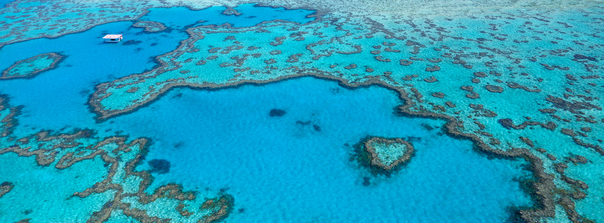 Heart Reef, Heart Reef, Great Barrier Reef, QLD, photographed by Mitchell Burns