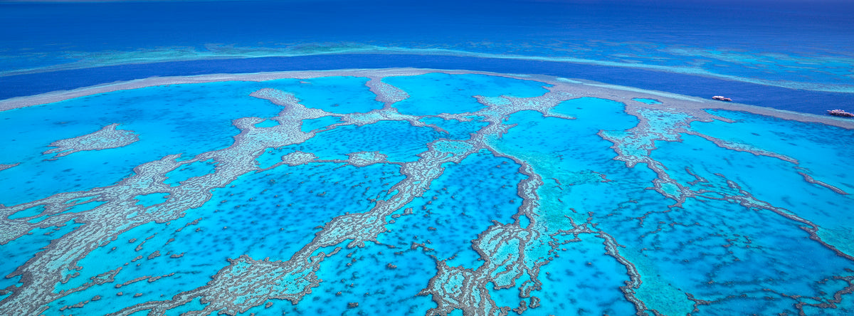 Reef Patterns, Great Barrier Reef, QLD, photographed by Mitchell Burns