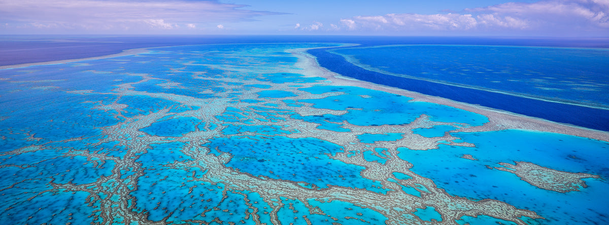 Reef Magic, Great Barrier Reef, QLD, photographed by Mitchell Burns