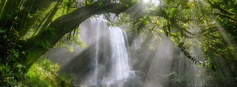 Essence Of Life — Zillie Falls, Atherton Tablelands, QLD, photographed by Mitchell Burns — illustrative Black + Black corner detail