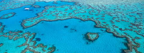 Heart Reef — Heart Reef, Great Barrier Reef, QLD, photographed by Mitchell Burns — illustrative Black + Black corner detail